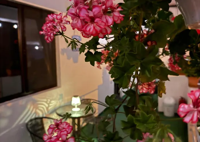 Axelandraboutique 艾福雷诺德