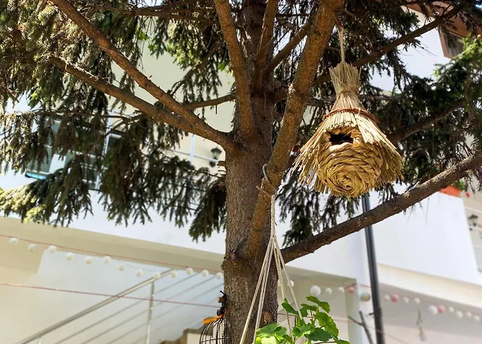 Axelandraboutique 3* 艾福雷诺德